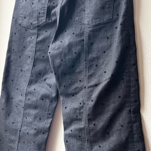 Pilcro and The Letterpress High Rise Wide Leg Polka Dot Jeans Sz 30 - Picture 11 of 15